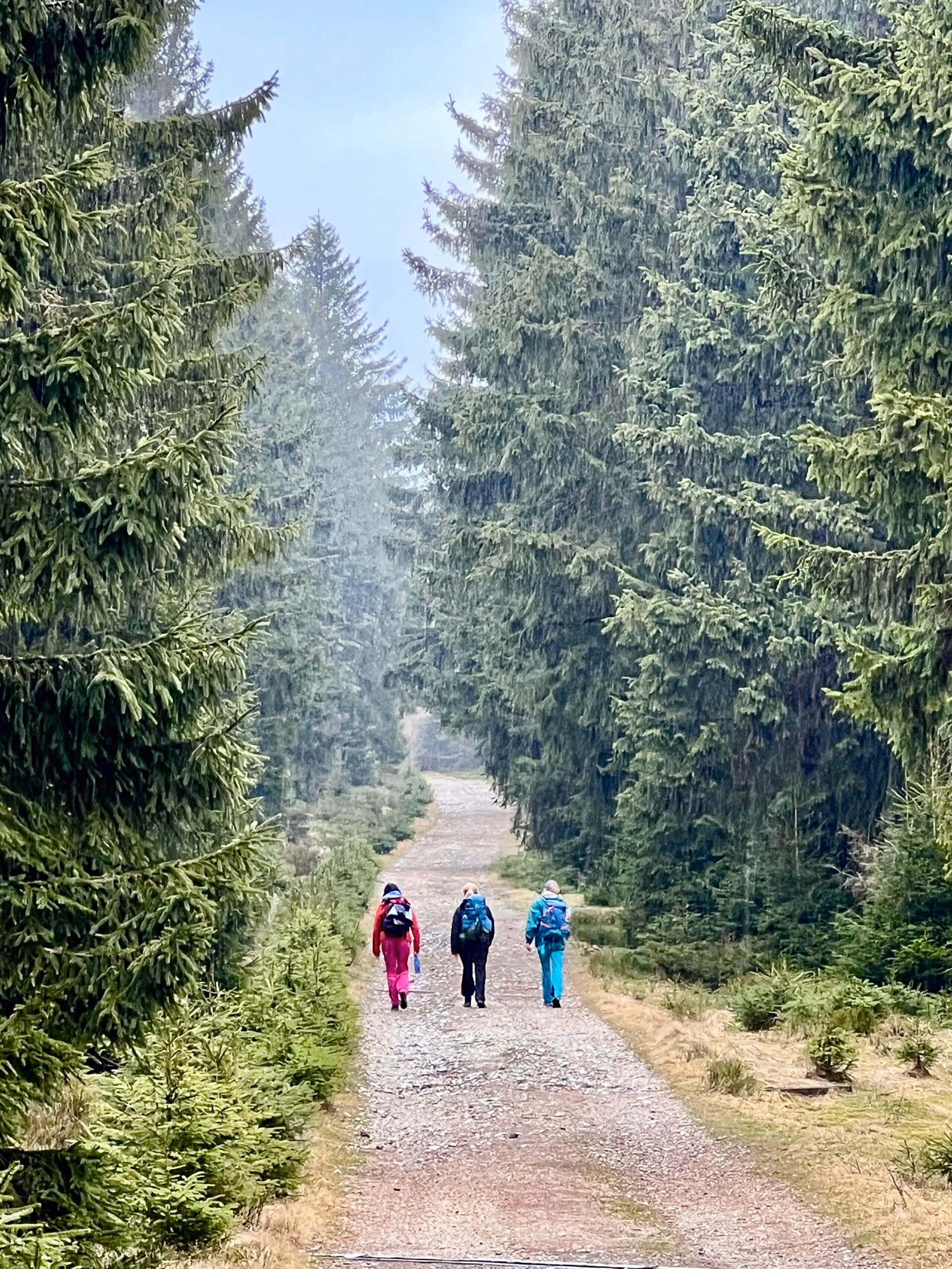 Trzy osoby na leśnej drodze w deszczu