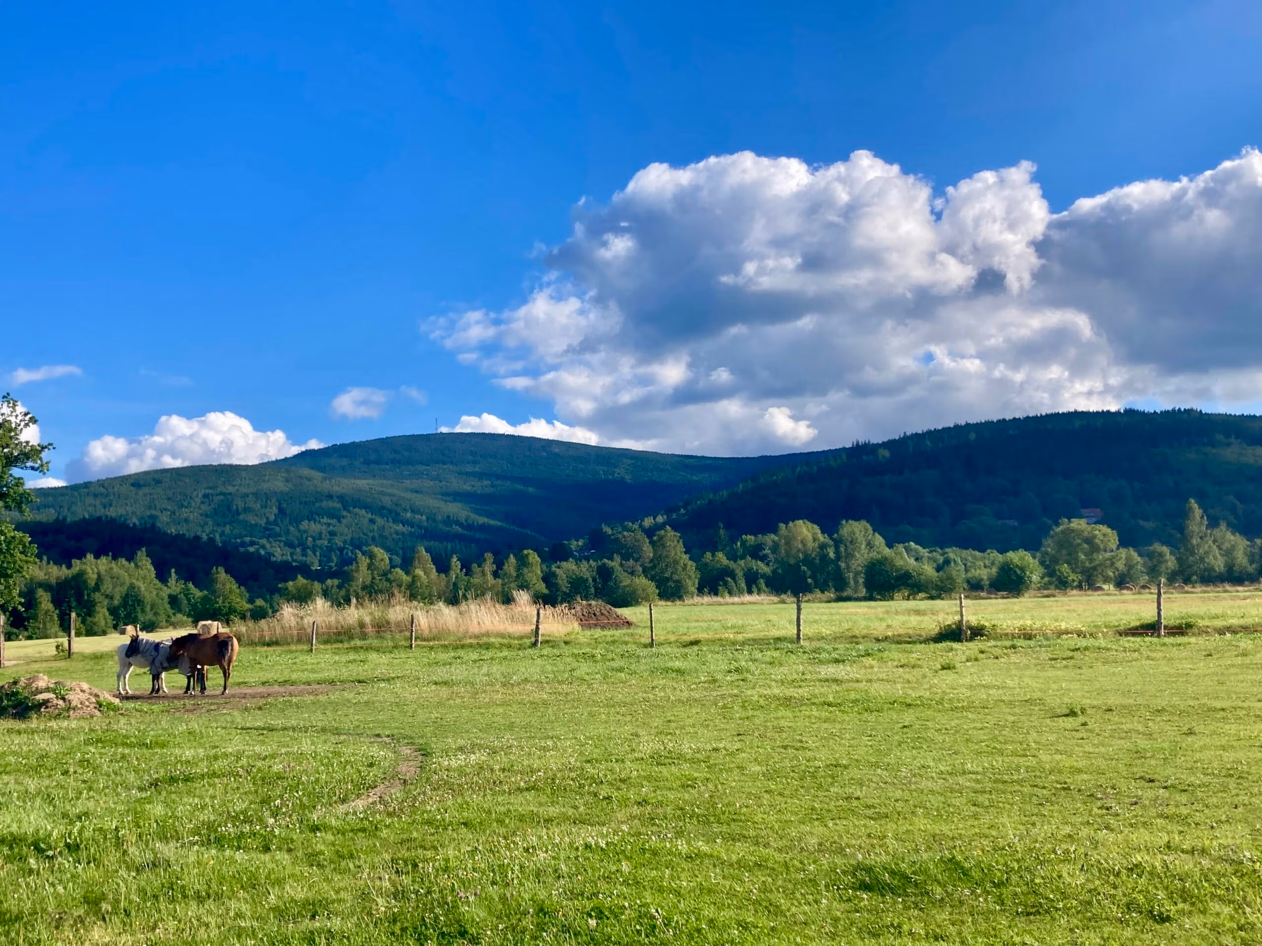 Zielone pola i wzgórza pod chmurami
